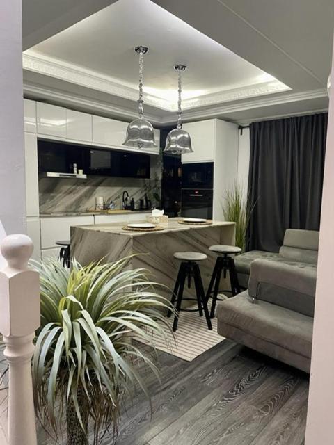 ブカレスト Casa In Inima Capitaleiヴィラ エクステリア 写真